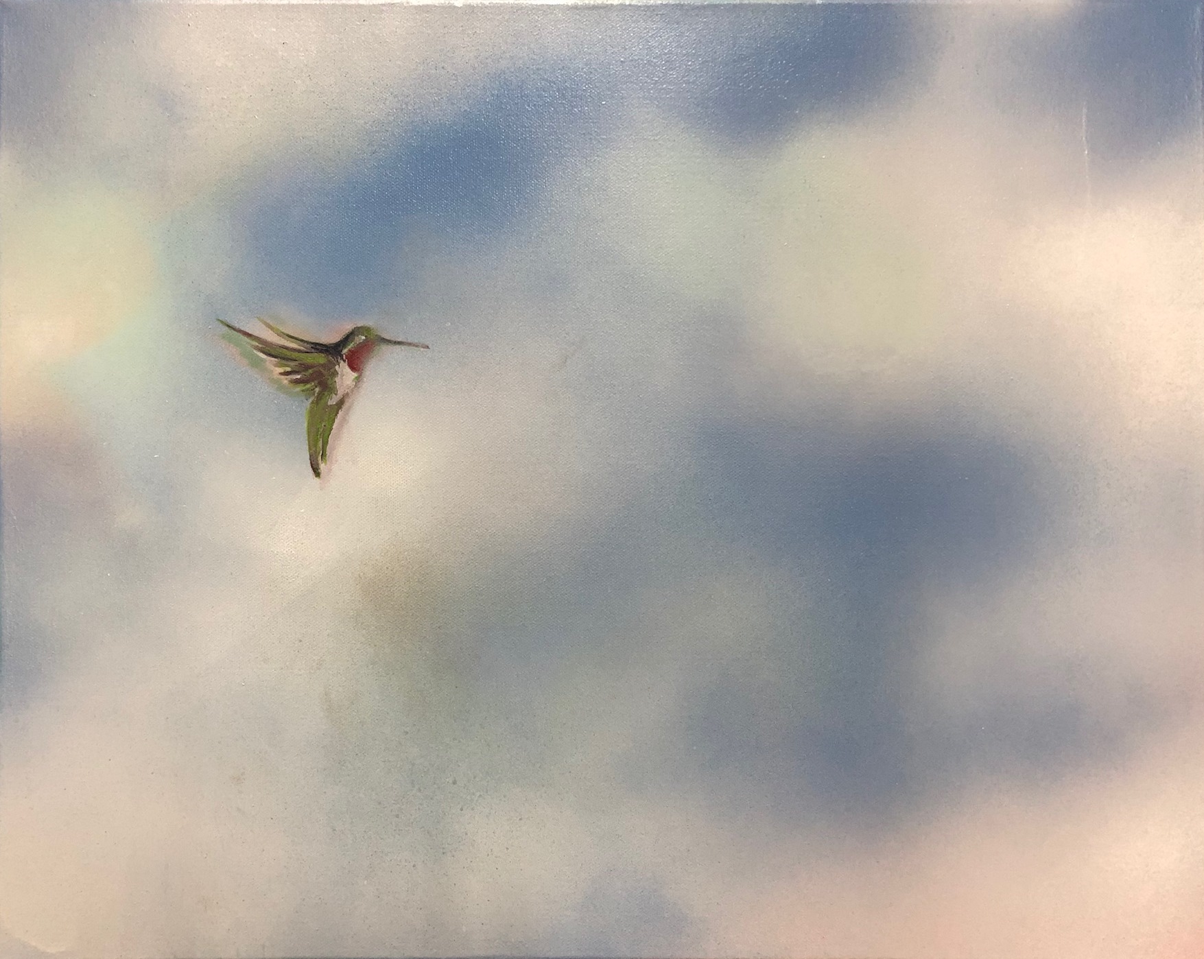 FlightHummingBirdOnSkyBackground1Cropped
